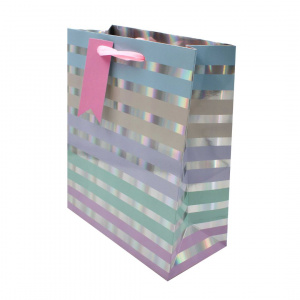 Punga Clairefontaine SDE M PASTEL STRIPES