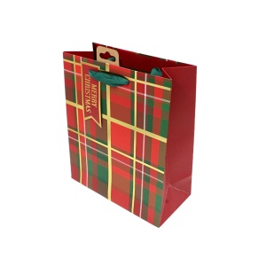 Pungă de cadou, din hârtie, colecția Clairefontaine de la Eurowrap, 45.5x33 cm, burduf de 15 cm, Tartan