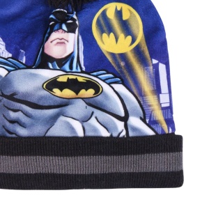 Set pentru copii, cu căciulă, mănuși, guler și cutie cadou, personaj Batman, Cerda