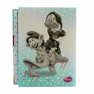 Album foto Disney 100 poze Morocanosul