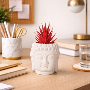 Artificial succulent plant in a cement pot (12.5 cm), Buddha head statue shape, white and red