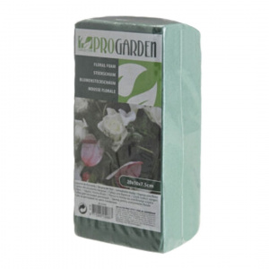 Burete uscat/umed pentru flori, Progarden, verde, 20x10x7 cm