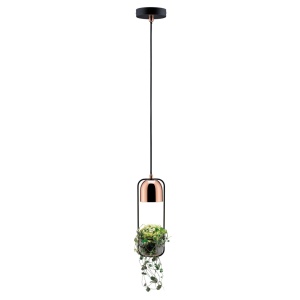 Pendul Neordic Fanja pentru plante, max 1x20W bec GU10, culoare negru/cupru 230V din metal și sticlă