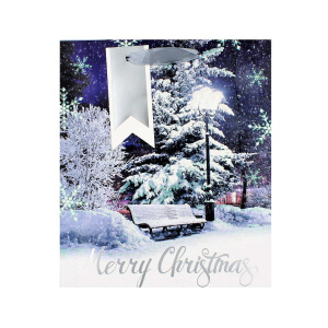 Pungă cadou Crăciun SDE M XMAS PHOTOGRAPHIC - Img 2