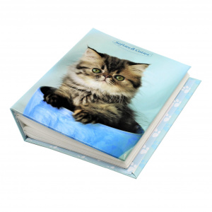 Album foto Cute Pets 100 poze pisicuta