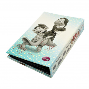 Album foto Disney 100 poze Morocanosul