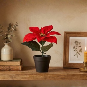 Artificial Poinsettia plant (20 cm) with red fabric petals featuring a velvety texture and green leaves, in a black pot.