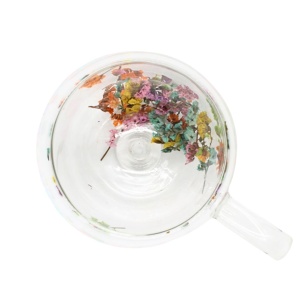 Cană cu inserție de flori uscate, limonium multicolor, pereți dubli, sticlă borosilicată, 250 ml, Aurora Bloom