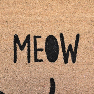 Covor intrare fibră cocos 43x73cm Meow - Img 2