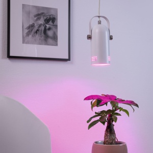 Pendul Neordic Lavea pentru plante, max. 1x15W, bec E27, culoare alb, 230V, din metal