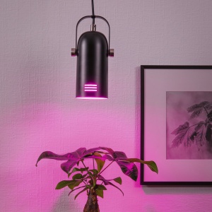 Pendul Neordic Lavea pentru plante, max. 1x15W, bec E27, culoare negru, 230V, din metal