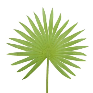 Plantă artificială Palmier 160 cm, bogată în frunze verzi cu detalii realiste, tulpini cu inserții de material natural, ghiveci negru inclus
