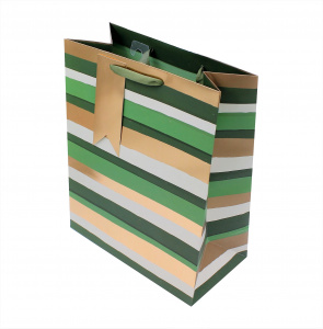 Punga cadou hartie L Green Stripe - Img 1