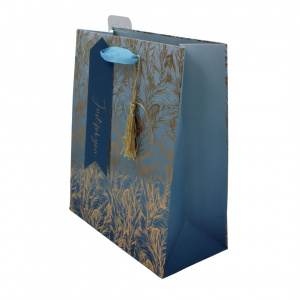 Punga Clairefontaine M Ombre Feathers