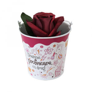 Suport ghiveci 13.5 cm "Doamnei profesoare cu drag" - Img 2