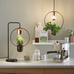 Veioză Neordic Fanja pentru plante, max 1x20W bec GU10, culoare negru/cupru 230V din metal si sticla