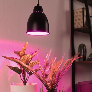 Pendul Neordic Hilla pentru plante, max. 1x40W, bec E27, culoare negru, 230V, din metal