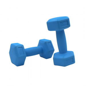 Set 2 gantere albastre XQ Max 2x1 kg