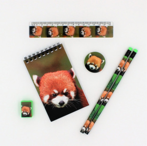 Set 6 rechizite Wild stationery Red panda