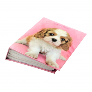 Album foto Cute Pets 100 poze catel