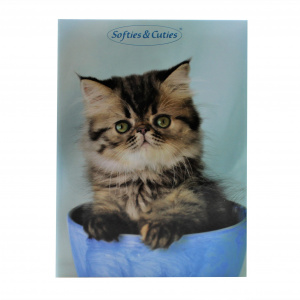 Album foto Cute Pets 100 poze pisicuta