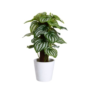 Plantă artificială Peperomia 25 cm, frunze verzi cu nervuri albe, detalii realiste, în ghiveci alb