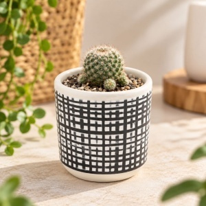 Ghiveci ceramică 9x9 cm model linii perpendiculare
