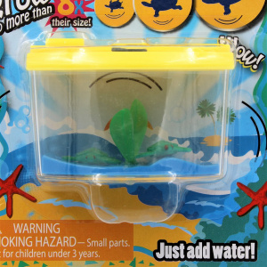 Mini acvariu Magic Aquarium broscute testoase - Img 6