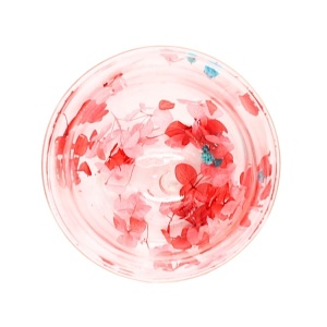 Pahar cu inserție de flori uscate roșu și roz, hortensie, pereți dubli, sticlă borosilicată, 250 ml, Aurora Bloom