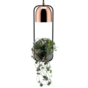 Pendul Neordic Fanja pentru plante, max 1x20W bec GU10, culoare negru/cupru 230V din metal și sticlă