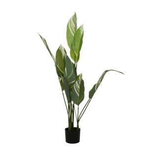 Plantă artificială Calathea 118 cm, cu frunze verzi variegate, aspect realist, pentru interior, ghiveci negru inclus