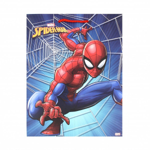 Punga cadou copii SDE L Spiderman