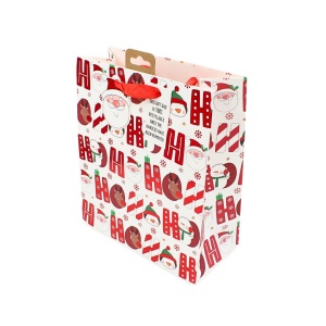 Pungă de cadou, din hârtie, colecția Clairefontaine de la Eurowrap, 45.5x33 cm, burduf de 15 cm, Ho ho ho