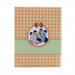 Album foto Mini Disney 100 poze Minnie-Mickey