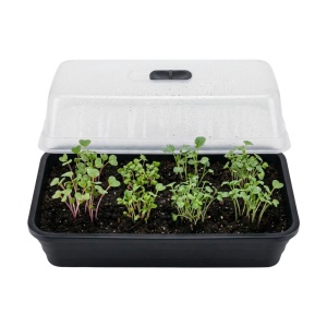 Mini Seră Profesională cu Capac și Aerisire Reglabilă – 53x23x20 cm, Ideală pentru Răsaduri și Semințe