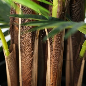 Plantă artificială Palmier 120 cm, bogată în frunze verzi cu detalii realiste și tulpini cu inserții de material natural, ghiveci negru inclus