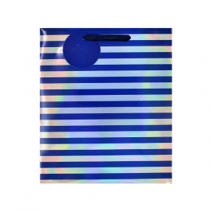 Punga SDE M BLUE SILVER RAINBOW