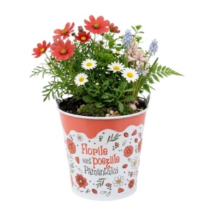 Suport ghiveci 13.5 cm "Florile sunt poeziile Pământului"