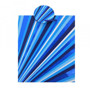 Punga de cadou hartie XL STRIPES