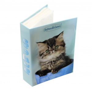 Album foto Cute Pets 100 poze pisicuta