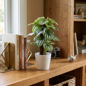 Artificial Peperomia plant 25 cm, green leaves with white veins, realistic details, in a white pot