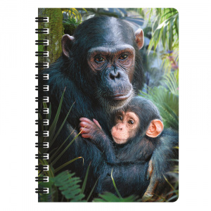 Carnețel zoo cu spirală 3D "LiveLife - Cute cuddles"