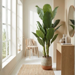 Plantă artificială Bananier 165 cm, cu 23 frunze verzi cu detalii realiste, pentru interior, în ghiveci negru