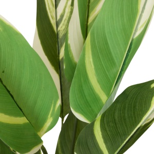 Plantă artificială Calathea 118 cm, cu frunze verzi variegate, aspect realist, pentru interior, ghiveci negru inclus