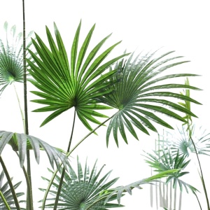 Plantă artificială Palmier 160 cm, bogată în frunze verzi cu detalii realiste, tulpini cu inserții de material natural, ghiveci negru inclus