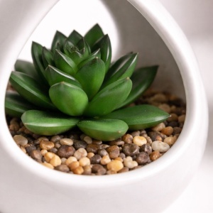 Plantă artificială Suculentă , în suport ceramic alb tip picătură, 14 cm, cu agatatoare din sfoară