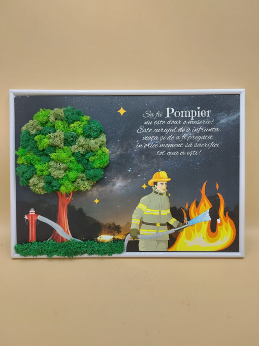 Tablou personalizat pompier - Cadou pompieri