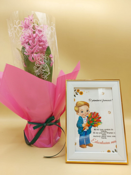 Pachet - Doamna Educatoare Baietel
