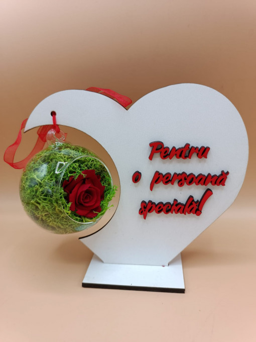 Trandafir criogenat Pentru o persoana speciala