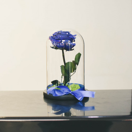 Cupola cu trandafir XXL albastru